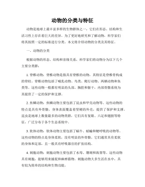 动物的分类与特征