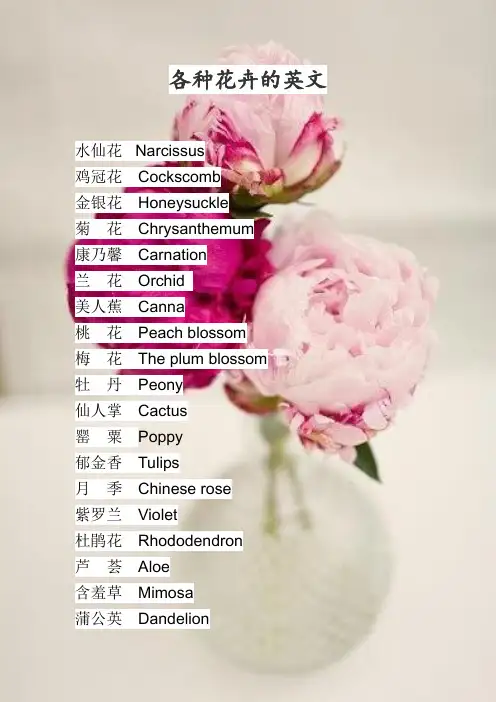 各种花卉的英文