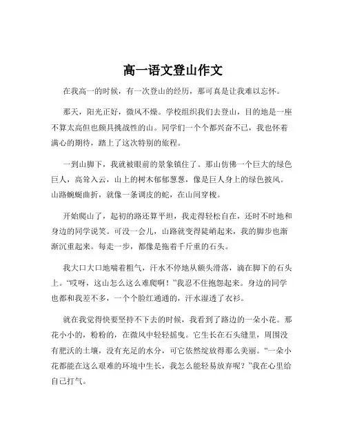 高一语文登山作文