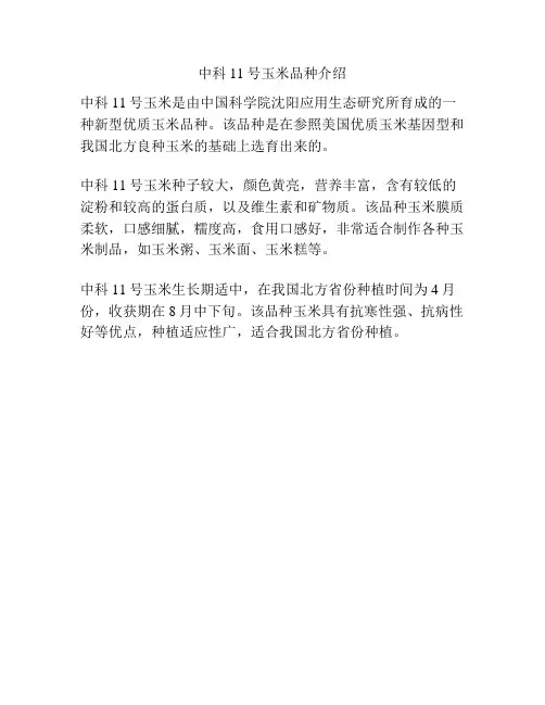 中科11号玉米品种介绍