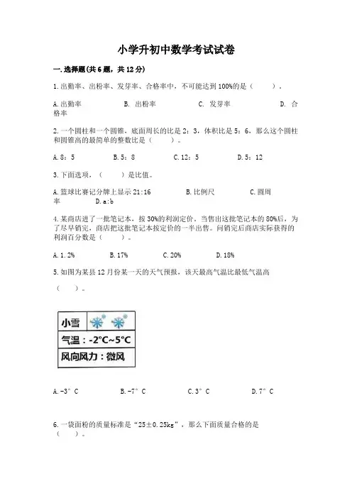 小学升初中数学考试试卷(完整版)word版