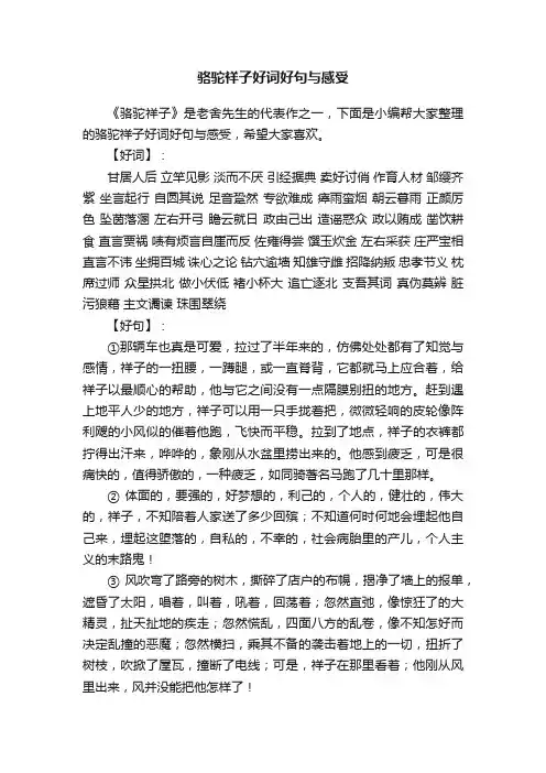 骆驼祥子好词好句与感受