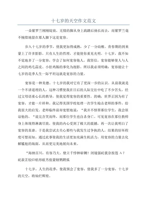 十七岁的天空作文范文
