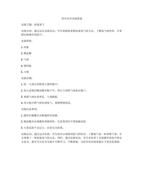 初中化学实践教案