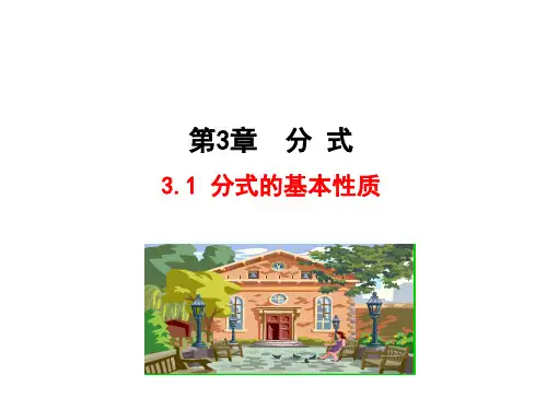 分式的基本性质课件17 青岛版
