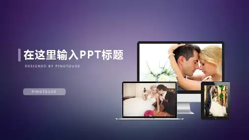 原创精致文艺多线条静态竞聘述职ppt模板