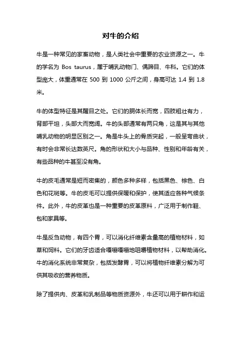 对牛的介绍