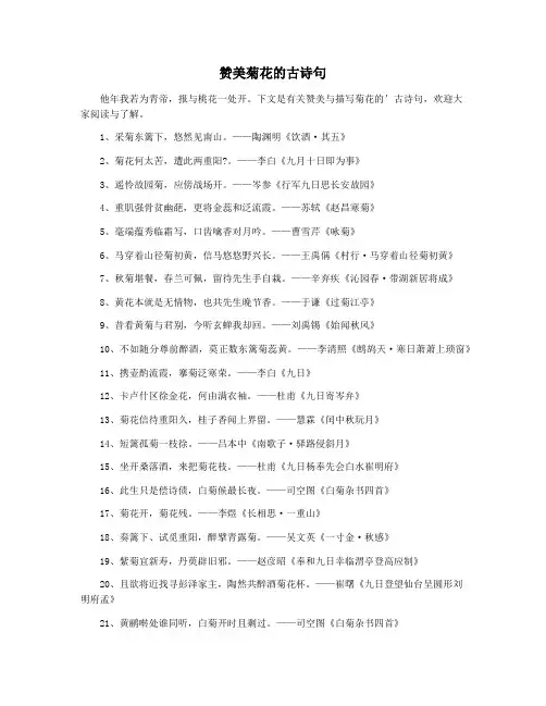 赞美菊花的古诗句