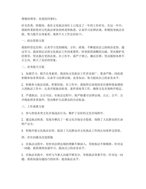 文化执法个人总结范文