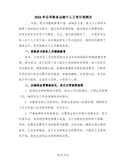 2024年公司财务出纳个人工作计划例文（二篇）