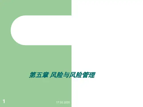 公司战略与风险管理第五章ppt课件
