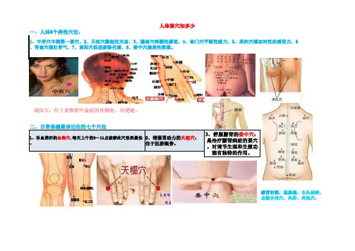 0-人体几大要穴