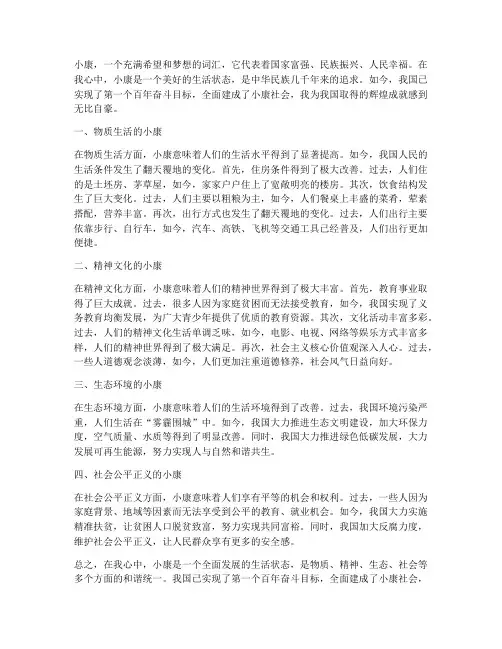 我心中的小康总结范文