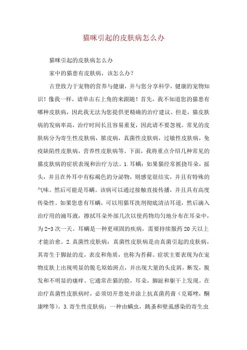 猫咪引起的皮肤病怎么办