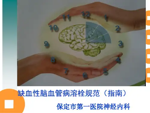 溶栓指南_精品文档