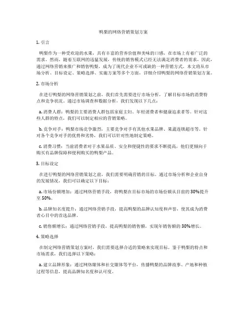 鸭梨的网络营销策划方案