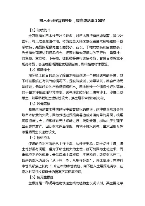 树木全冠移栽有妙招，提高成活率100%