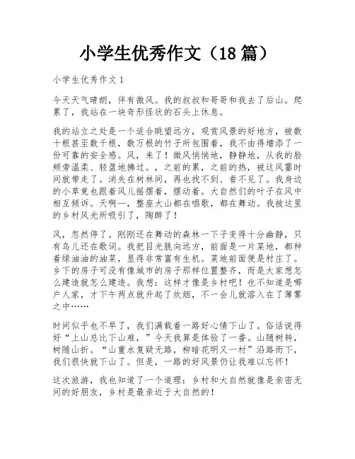 小学生优秀作文(18篇)