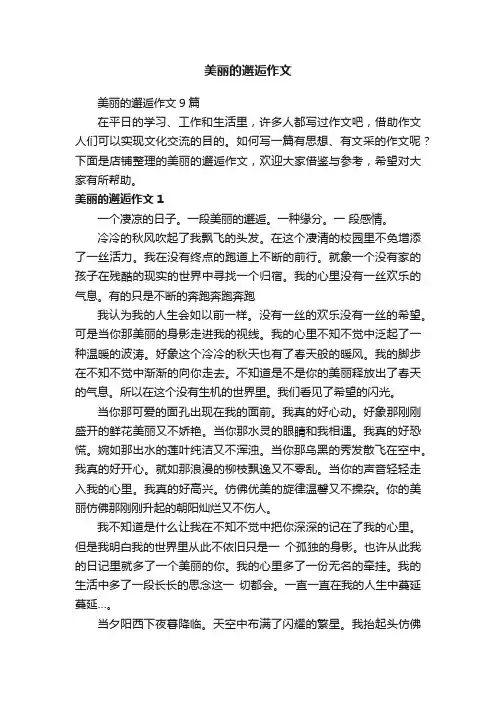 美丽的邂逅作文