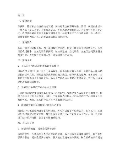 说谎法律惩罚案例(3篇)