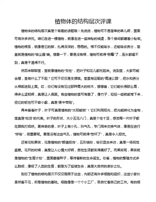 植物体的结构层次评课