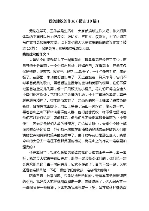 我的建议的作文（精选10篇）