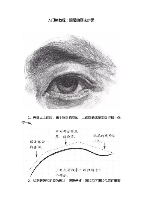入门级教程：眼睛的画法步骤