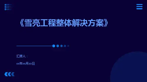《雪亮工程整体解决方案》