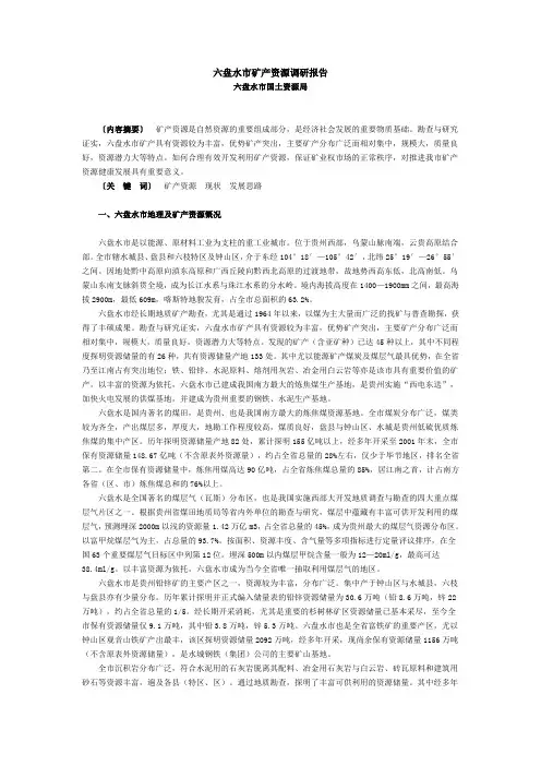六盘水市矿产资源调研报告