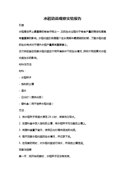 水稻幼苗观察实验报告