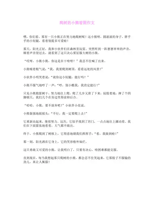 爬树的小熊看图作文