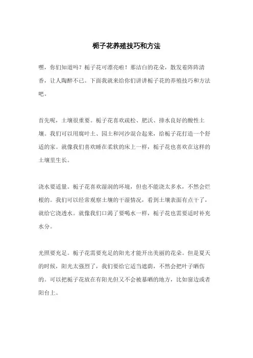 栀子花养殖技巧和方法