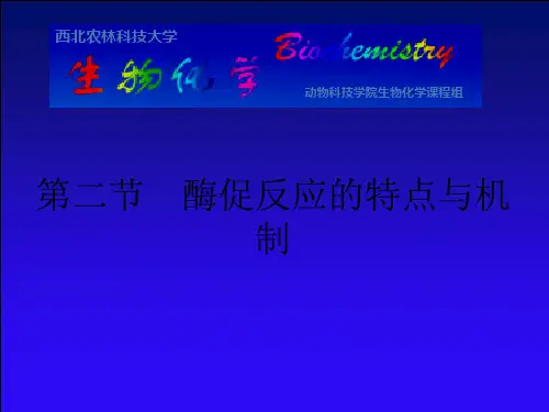 酶促反应的特点与机制