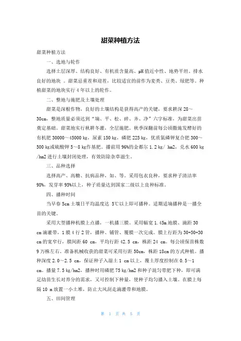 甜菜种植方法