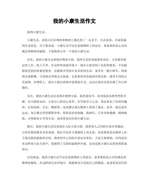 我的小康生活作文