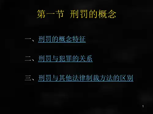刑法课件刑法总论章节14