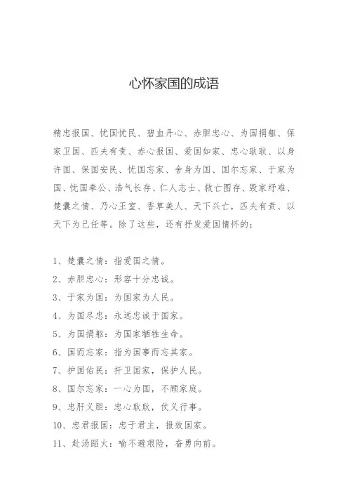 心怀家国的成语