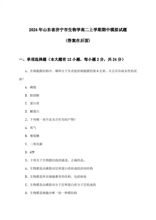 2024年山东省济宁市高二上学期期中生物学试题与参考答案