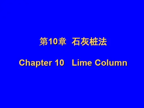 《地基处理技术》石灰桩、水泥土搅拌法