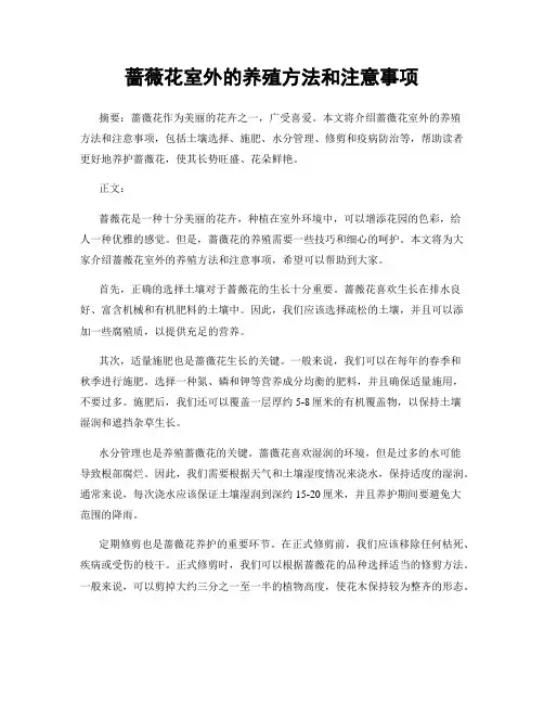 蔷薇花室外的养殖方法和注意事项