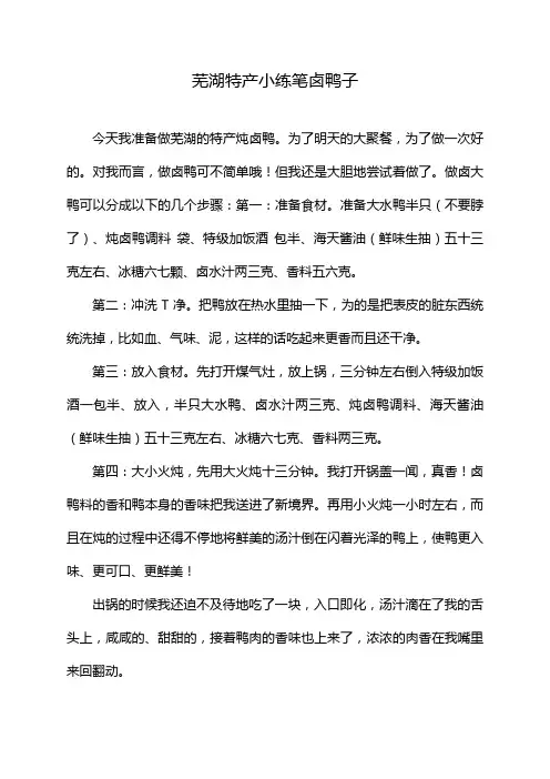芜湖特产小练笔卤鸭子
