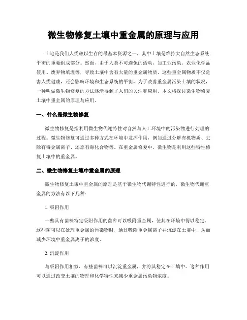 微生物修复土壤中重金属的原理与应用