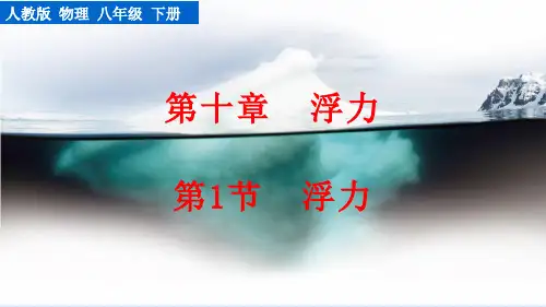 人教版 八年级物理下册 第十章 浮力第1节  浮力
