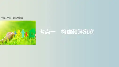 高考政治 二轮复习 专题二十三 家庭与婚姻 考点一 构建和睦家庭