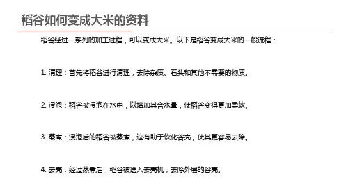 稻谷如何变成大米的资料
