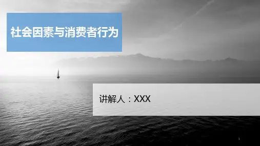 消费者行为第七章PPT课件