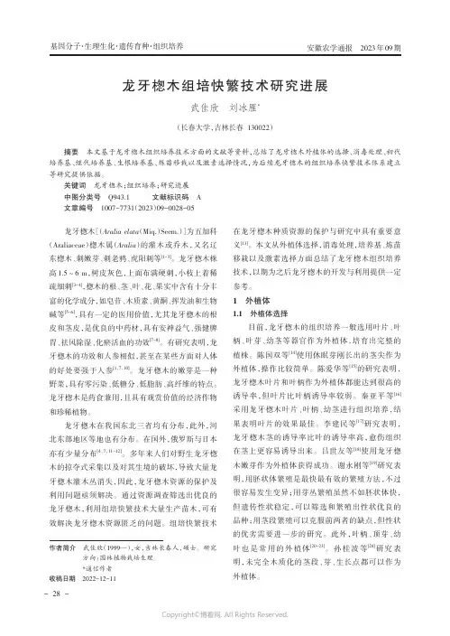 龙牙楤木组培快繁技术研究进展