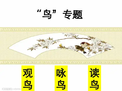 苏教版八年级语文下学期鸟专题定稿