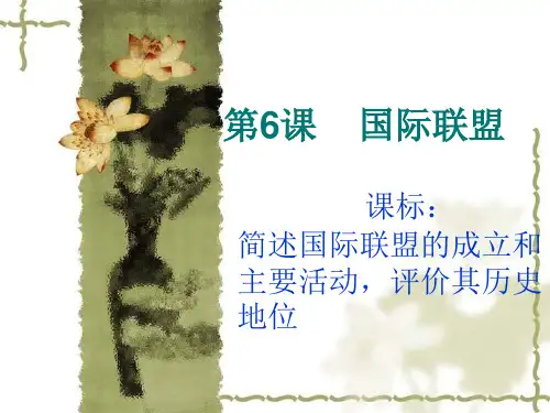 6国际联盟