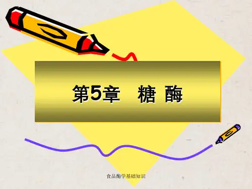 食品酶学基础知识